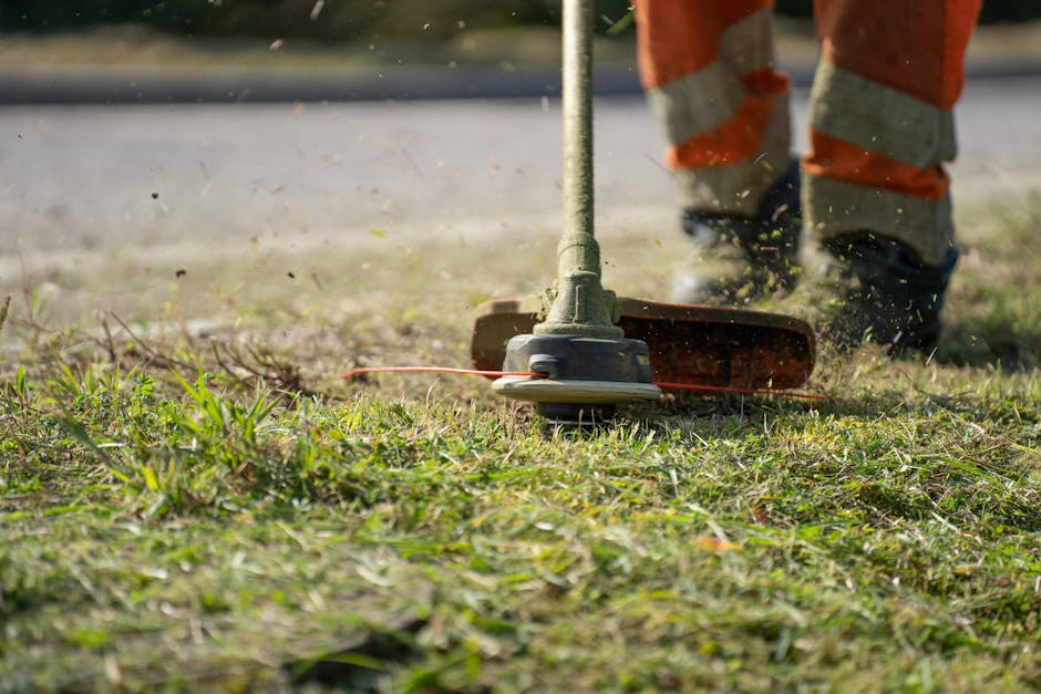 Professional lawn care worker assessing a yard