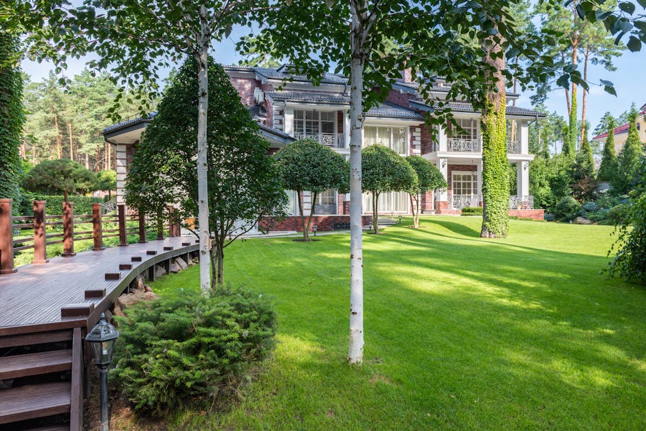Lush green front yard with professional landscaping